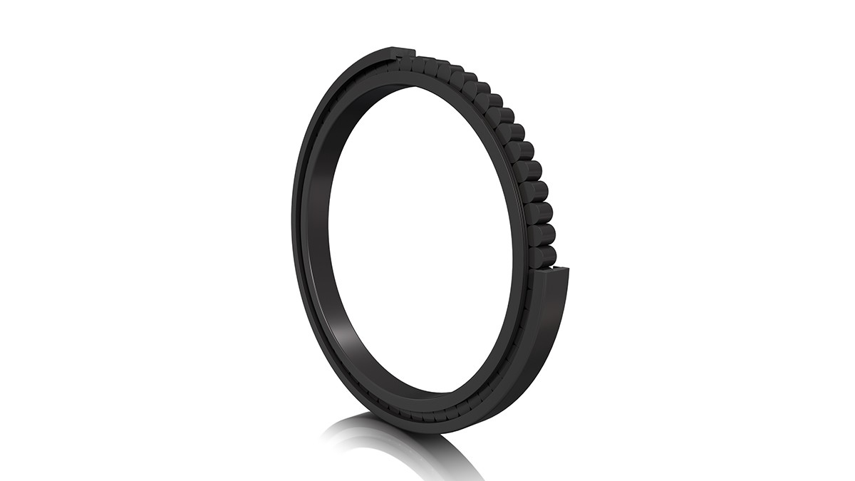 Full complement INA X-life cylindrical roller bearing