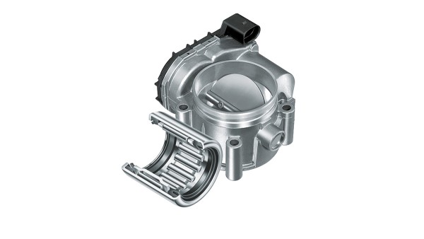 Throttle valve bearing and housing
