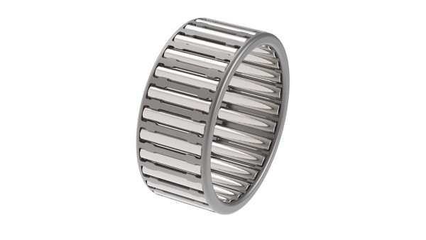 Needle roller and cage assembly